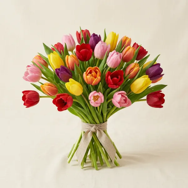 Spring Tulips