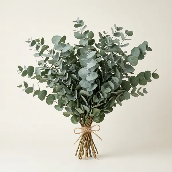 Preserved Eucalyptus